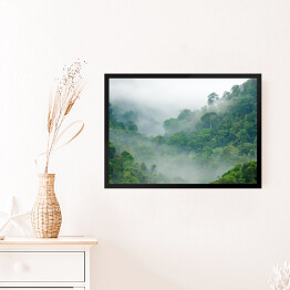 Obraz w ramie Mgła w lesie tropikalnym