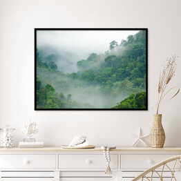 Plakat w ramie Mgła w lesie tropikalnym