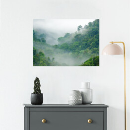 Plakat Mgła w lesie tropikalnym
