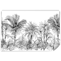 Fototapeta Zarys dżungli z palmami