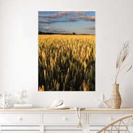 Plakat samoprzylepny Wiejski krajobraz z ciągnikową drogą w pszenicznym polu