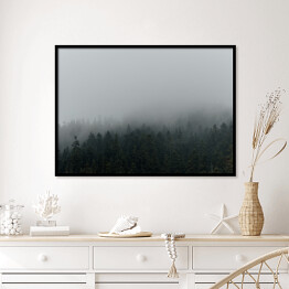 Plakat w ramie Niejednolity las miejscowo pokryty mgłą