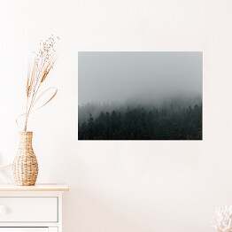 Plakat Niejednolity las miejscowo pokryty mgłą
