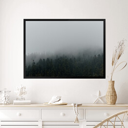 Obraz w ramie Niejednolity las miejscowo pokryty mgłą