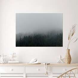 Plakat Niejednolity las miejscowo pokryty mgłą