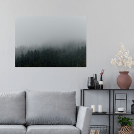 Plakat samoprzylepny Niejednolity las miejscowo pokryty mgłą
