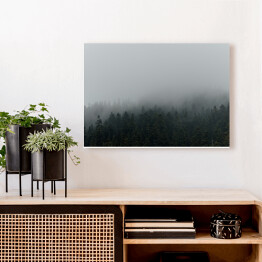 Obraz na płótnie Niejednolity las miejscowo pokryty mgłą