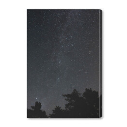 Obraz na płótnie Niebo pełne gwiazd nad skandynawskim lasem