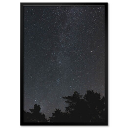 Plakat w ramie Niebo pełne gwiazd nad skandynawskim lasem