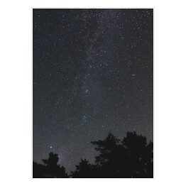 Plakat Niebo pełne gwiazd nad skandynawskim lasem