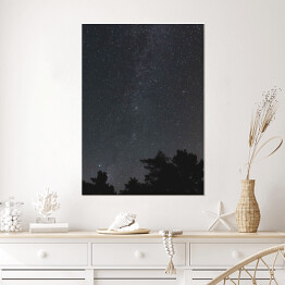 Plakat Niebo pełne gwiazd nad skandynawskim lasem