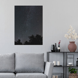 Plakat samoprzylepny Niebo pełne gwiazd nad skandynawskim lasem