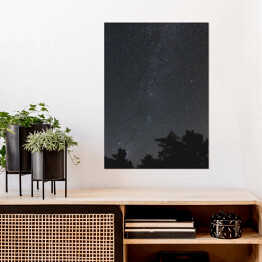 Plakat samoprzylepny Niebo pełne gwiazd nad skandynawskim lasem