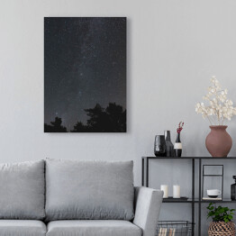 Obraz na płótnie Niebo pełne gwiazd nad skandynawskim lasem