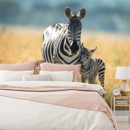 Fototapeta Dwie zebry spacerujące po afrykańskiej sawannie
