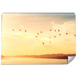 Fototapeta winylowa zmywalna Ptaki latające nad rzeką na zachodzie słońca niebo i chmury abstrakcyjne tło.