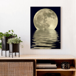 Obraz na płótnie Księżyc w pełni nad jeziorem