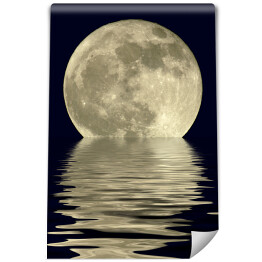 Fototapeta winylowa zmywalna Księżyc w pełni nad jeziorem