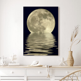 Obraz na płótnie Księżyc w pełni nad jeziorem