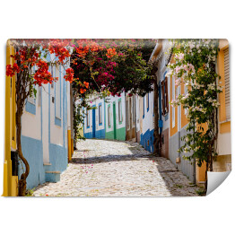 Fototapeta samoprzylepna Na wąskich uliczkach Ferragudo, Algarve, Portugalia