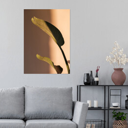 Plakat Liść palmowy piękne cienie na ścianie. Kreatywna, minimalna, stylizowana koncepcja dla blogerów.