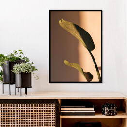 Plakat w ramie Liść palmowy piękne cienie na ścianie. Kreatywna, minimalna, stylizowana koncepcja dla blogerów.
