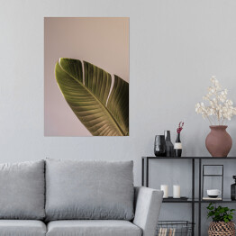 Plakat Liść palmowy piękne cienie na ścianie. Kreatywna, minimalna, stylizowana koncepcja dla blogerów.