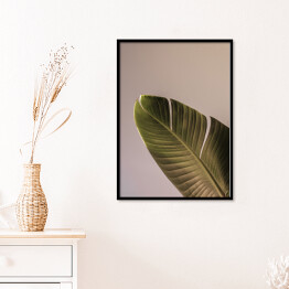 Plakat w ramie Liść palmowy piękne cienie na ścianie. Kreatywna, minimalna, stylizowana koncepcja dla blogerów.