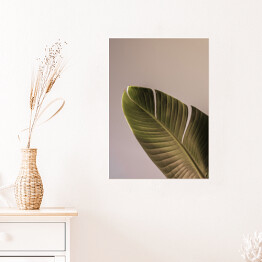 Plakat samoprzylepny Liść palmowy piękne cienie na ścianie. Kreatywna, minimalna, stylizowana koncepcja dla blogerów.