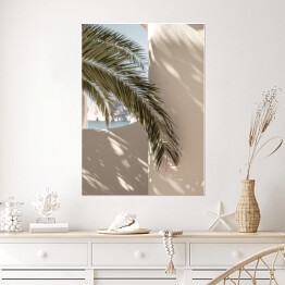 Plakat samoprzylepny Liść palmowy piękne cienie na ścianie. Kreatywna, minimalna, jasna i zwiewna koncepcja stylizowana.