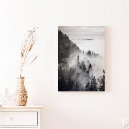 Obraz na płótnie Skandynawski las we mgle monochrom. Czarno biały krajobraz