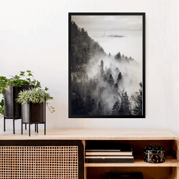 Obraz w ramie Skandynawski las we mgle monochrom. Czarno biały krajobraz