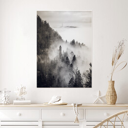Plakat Skandynawski las we mgle monochrom. Czarno biały krajobraz