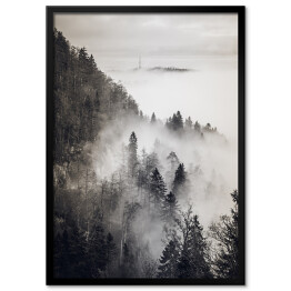 Plakat w ramie Skandynawski las we mgle monochrom. Czarno biały krajobraz
