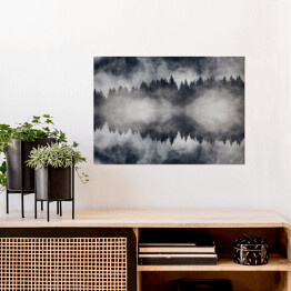 Plakat samoprzylepny Piękny mglisty las w ujęciu monochromatycznym