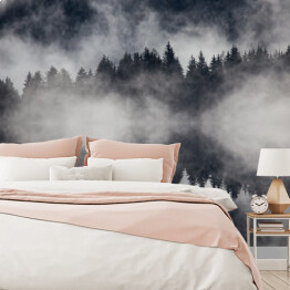 Fototapeta winylowa zmywalna Piękny mglisty las w ujęciu monochromatycznym