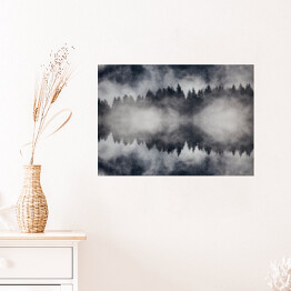 Plakat Piękny mglisty las w ujęciu monochromatycznym