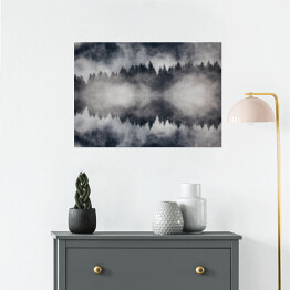 Plakat samoprzylepny Piękny mglisty las w ujęciu monochromatycznym