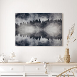 Obraz na płótnie Piękny mglisty las w ujęciu monochromatycznym