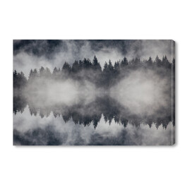 Obraz na płótnie Piękny mglisty las w ujęciu monochromatycznym