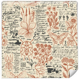 Tapeta w rolce Wektorowy wzór spójny z ziołami leczniczymi i owadami w stylu retro. Ręcznie rysowane zioła, żuki, motyle i nieczytelne bazgroły na starym papierowym tle. Tapeta, papier pakowy, tkanina