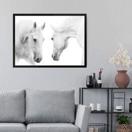 Obraz w ramie Dwa białe konie