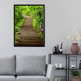 Obraz w ramie Kamienne schody prowadzące do lasu wśród zielonych drzew