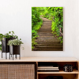 Obraz na płótnie Kamienne schody prowadzące do lasu wśród zielonych drzew
