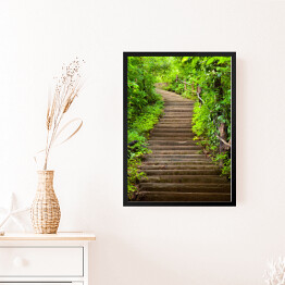 Obraz w ramie Kamienne schody prowadzące do lasu wśród zielonych drzew