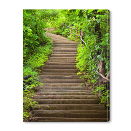 Kamienne schody prowadzące do lasu wśród zielonych drzew