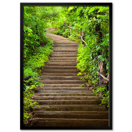 Plakat w ramie Kamienne schody prowadzące do lasu wśród zielonych drzew