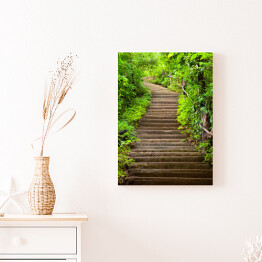 Obraz na płótnie Kamienne schody prowadzące do lasu wśród zielonych drzew