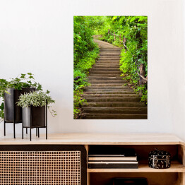 Plakat samoprzylepny Kamienne schody prowadzące do lasu wśród zielonych drzew