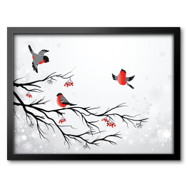 Obraz w ramie Gałąź i ptaki - zimowa ilustracja z gilami